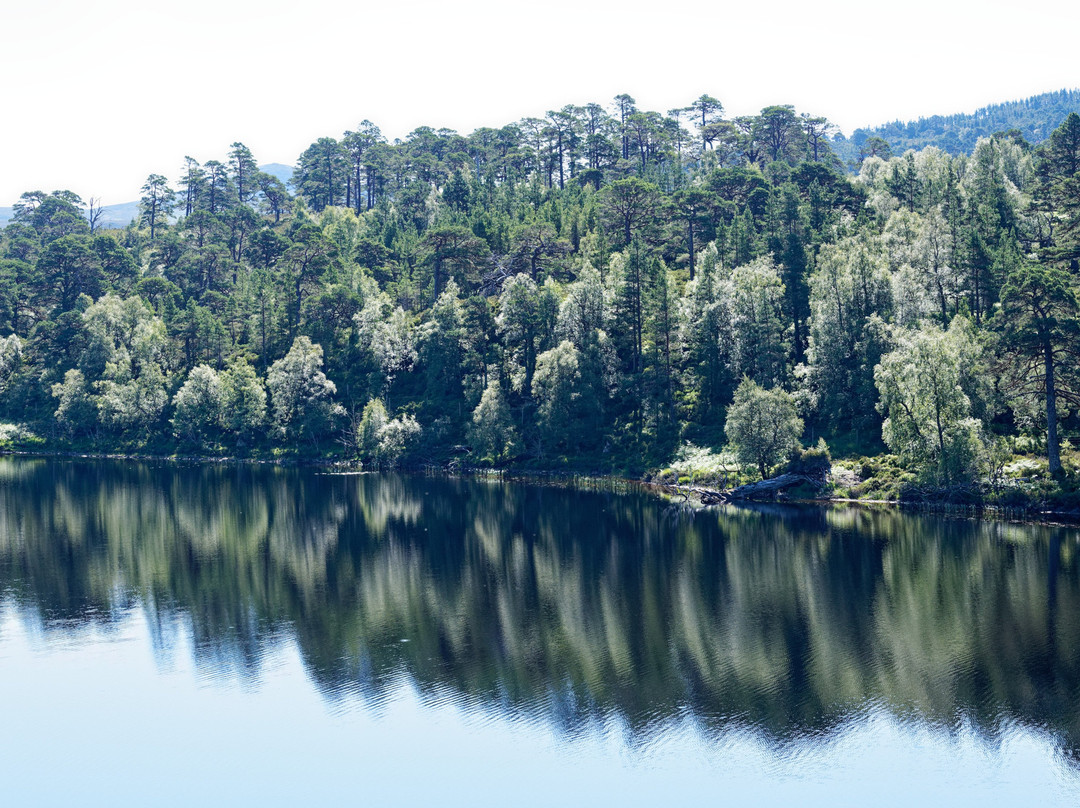 Loch Affric Circular Walk景点图片