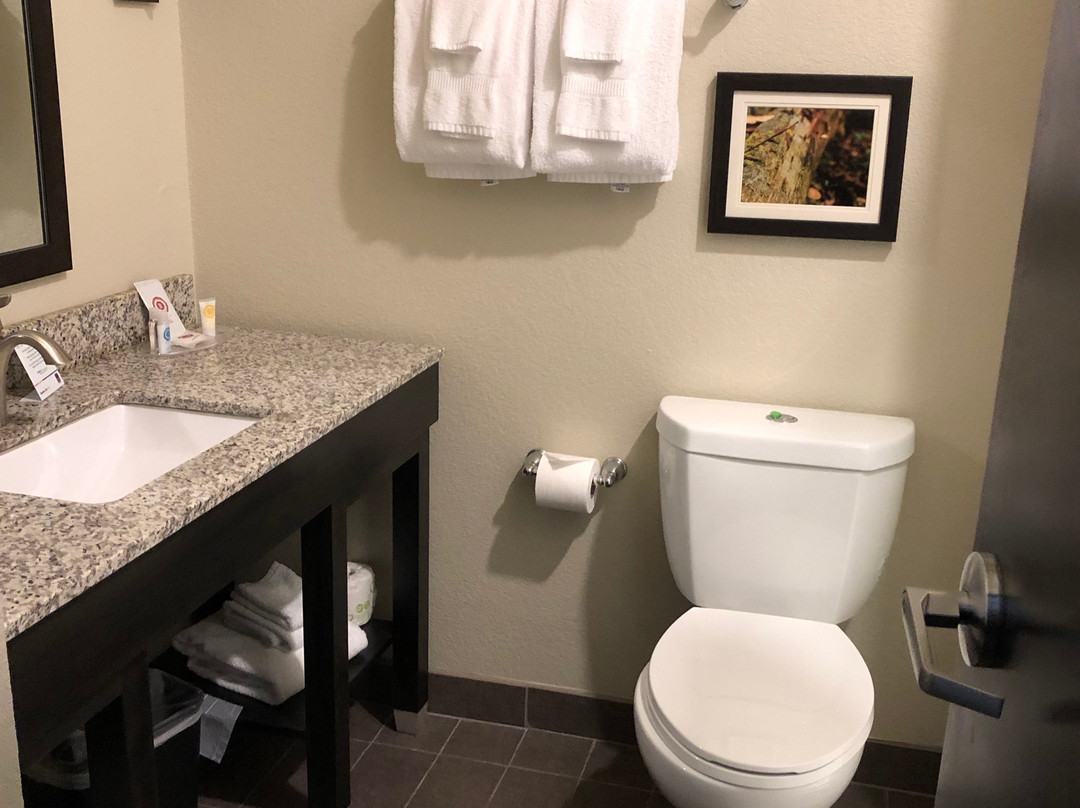 Comfort Suites主图