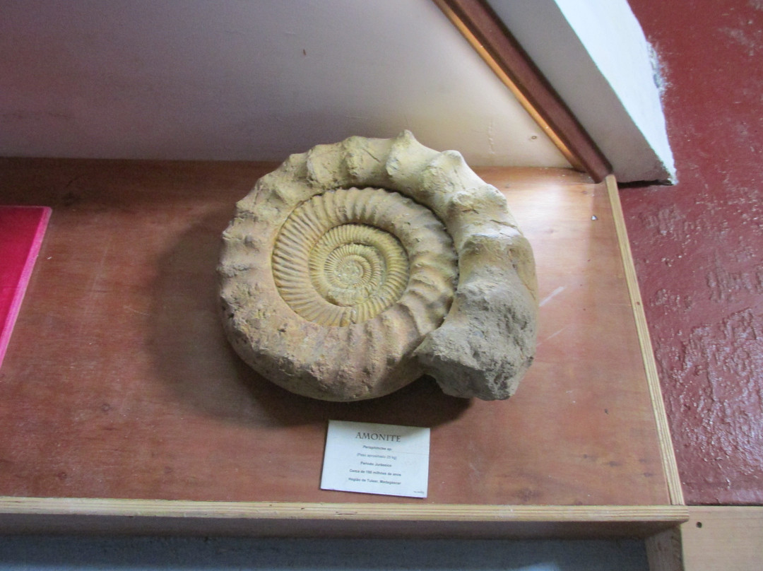 Observatorio Vulcanologico e Geotermico dos Acores-圣米格尔岛必去景点