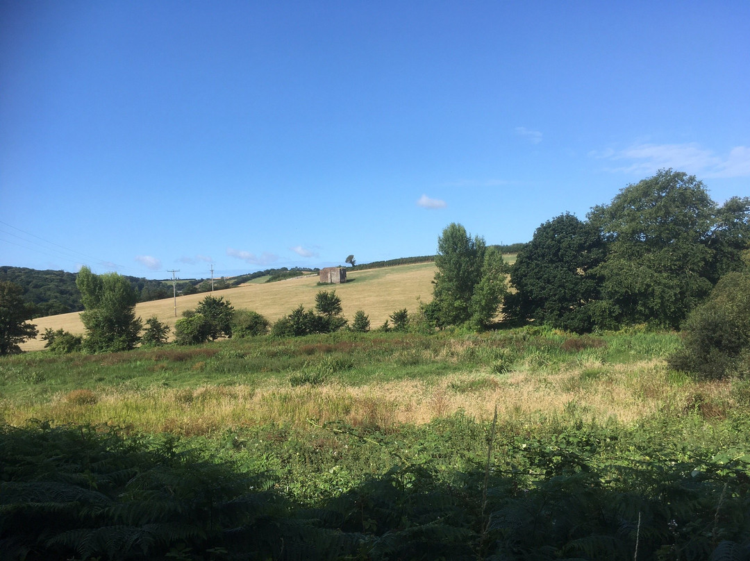 Slapton Ley Nature Reserve-Slapton必去景点