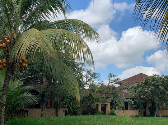 Pranasanti-乌布必去景点