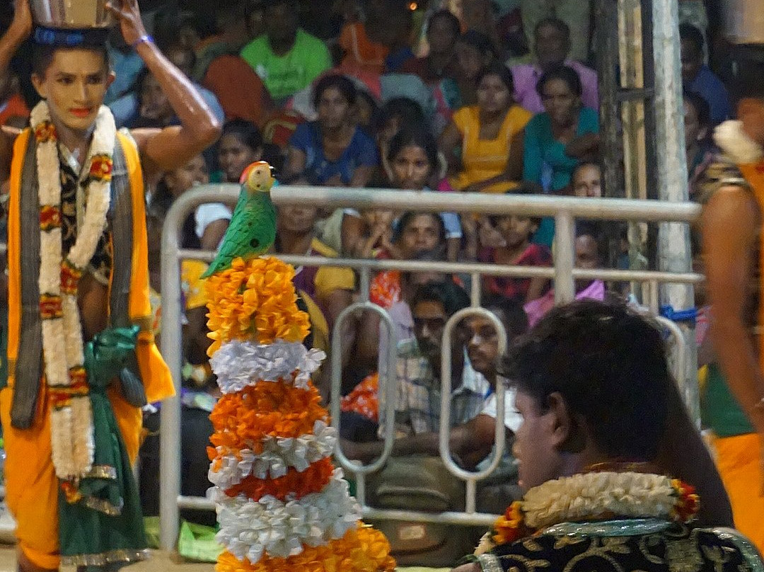 Kataragama Perahera Festival-卡塔拉伽马必去景点