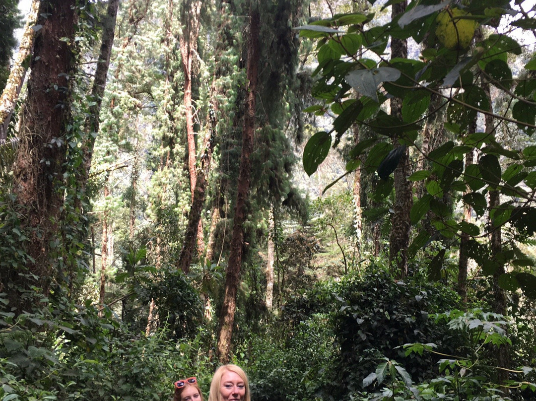 Dulima Tour Travel-萨伦托必去景点