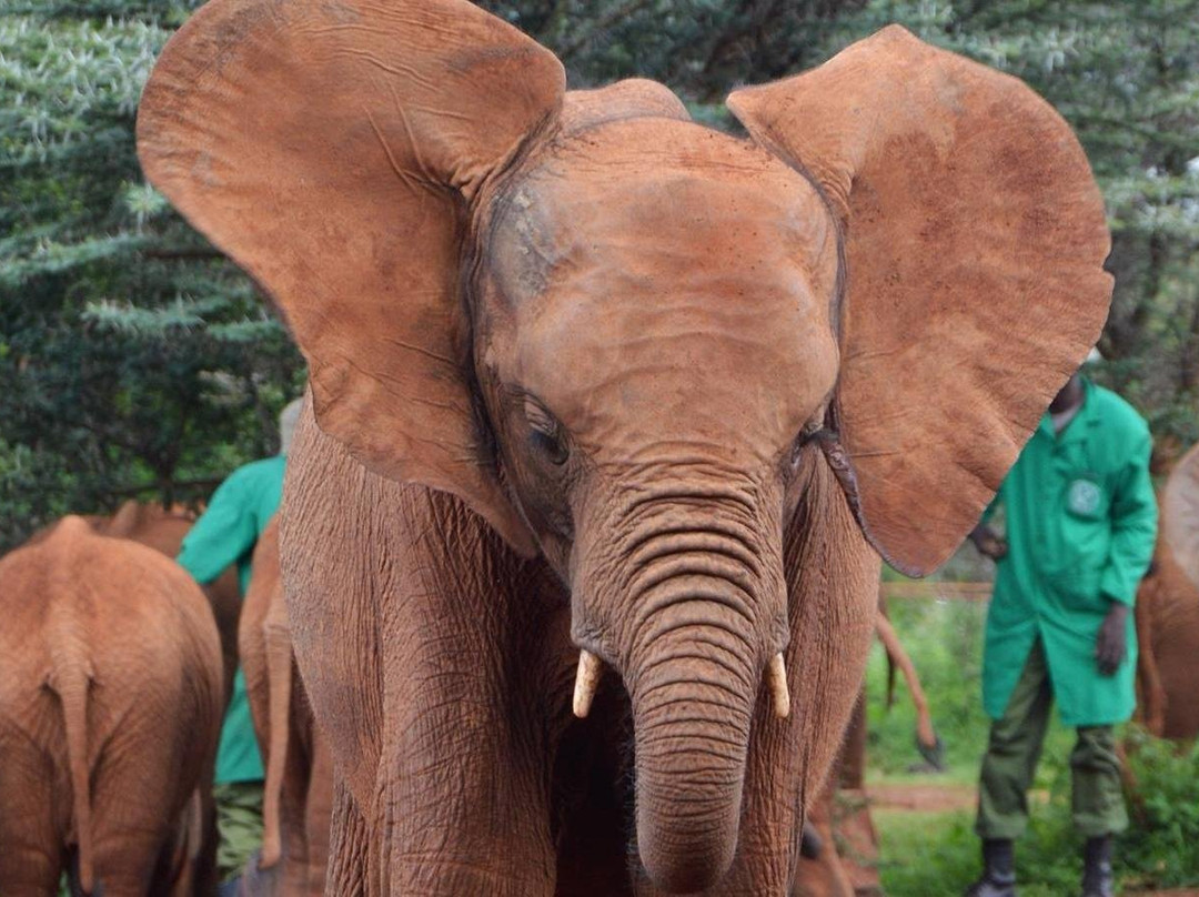 Sensing Africa-霍德斯普鲁特必去景点