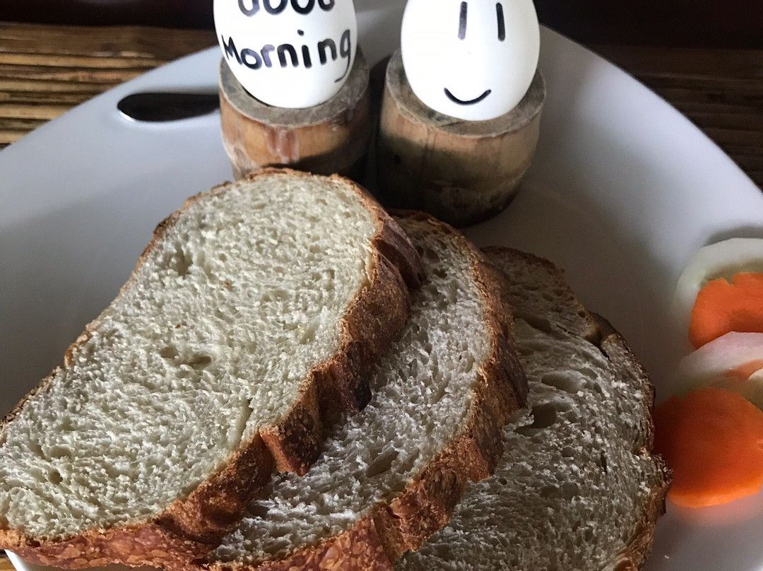 Mangrove Eco Resort主图