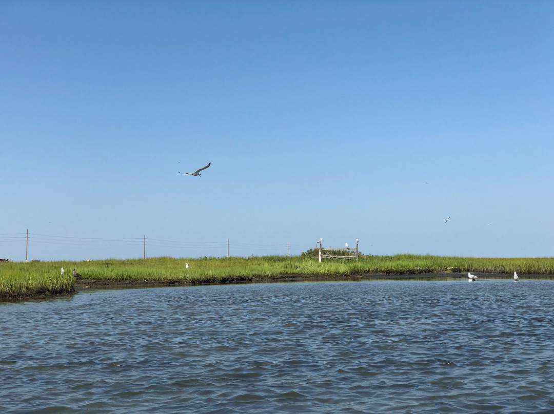 Big Papa Sup-钦科蒂格岛必去景点