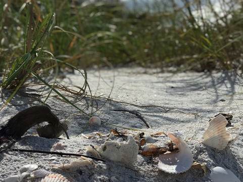 Matlacha Boat Rides and Rentals-Matlacha必去景点