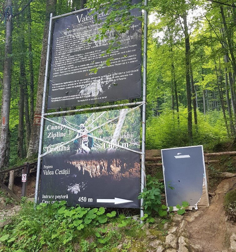 Valea Cetatii Cave景点图片