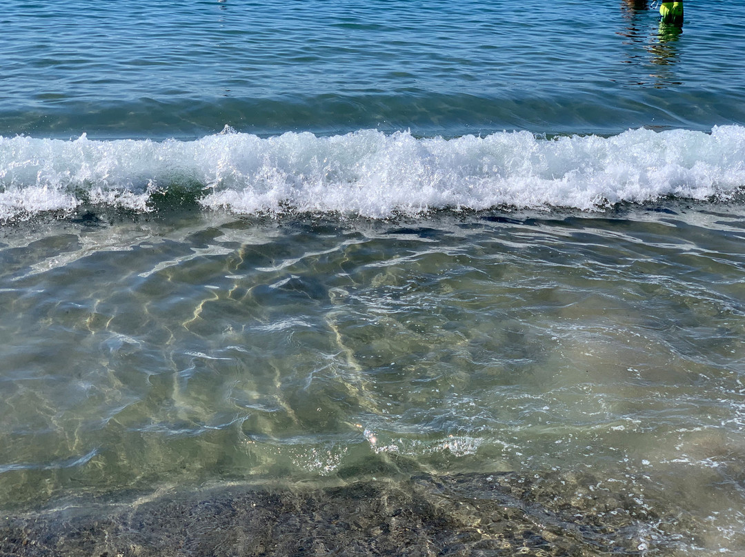 Spiagga per cani Arma di Taggia景点图片