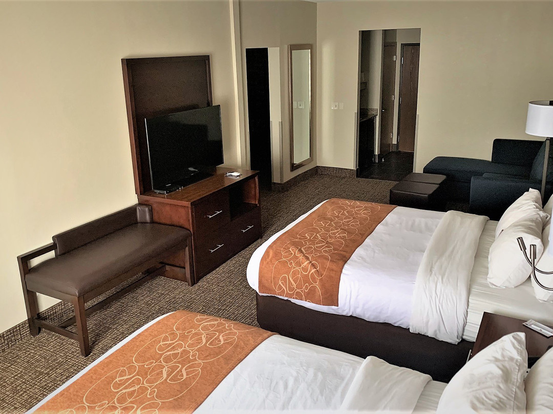 Comfort Suites Auburn Near I-69主图