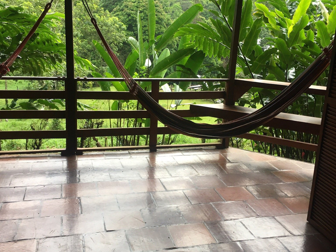 Selva Bananito Lodge主图