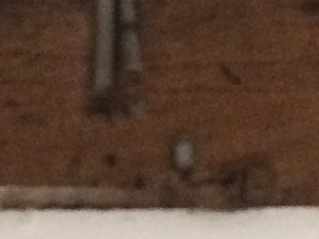 Severn Tudor House主图
