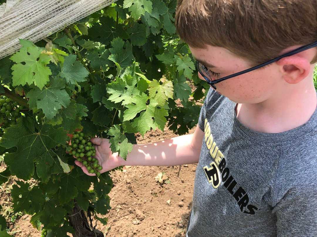 Colchester Ridge Estate Winery-Harrow必去景点