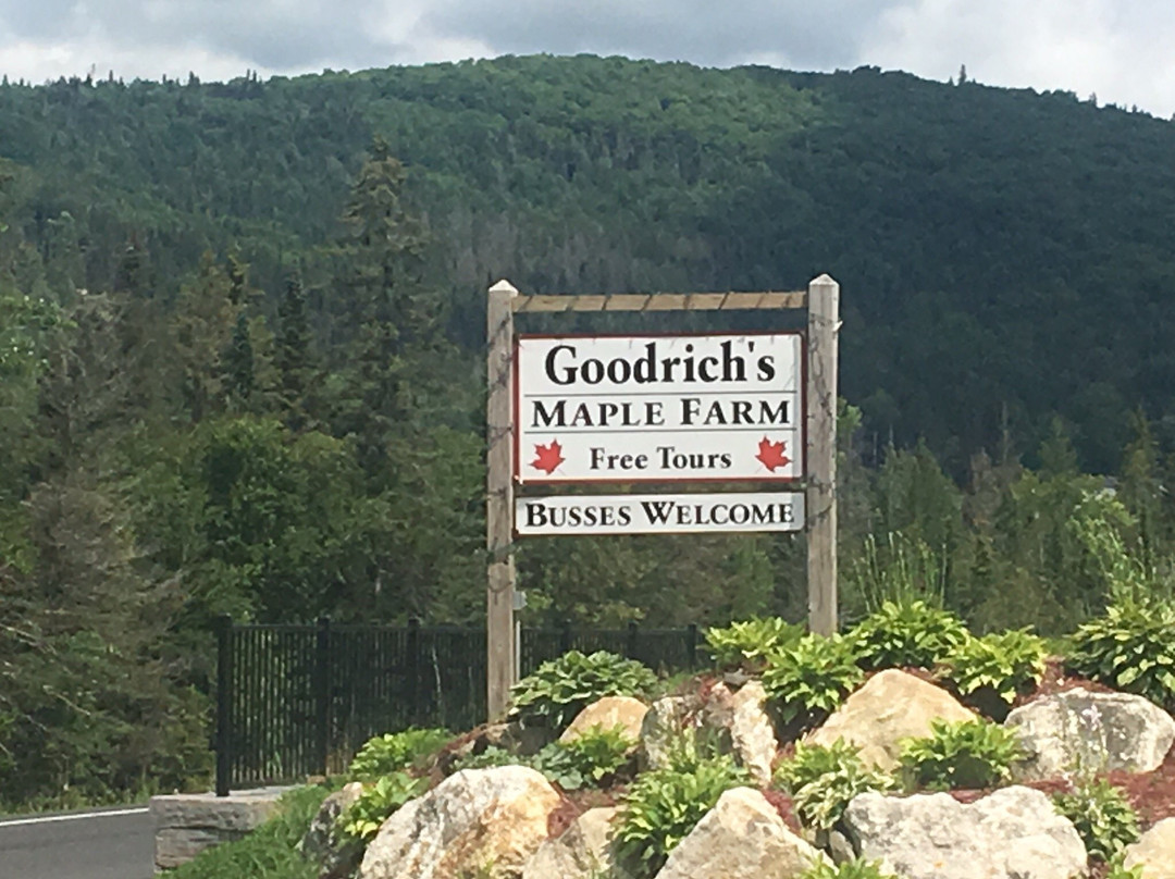 Goodrich's Maple Farm-Cabot必去景点