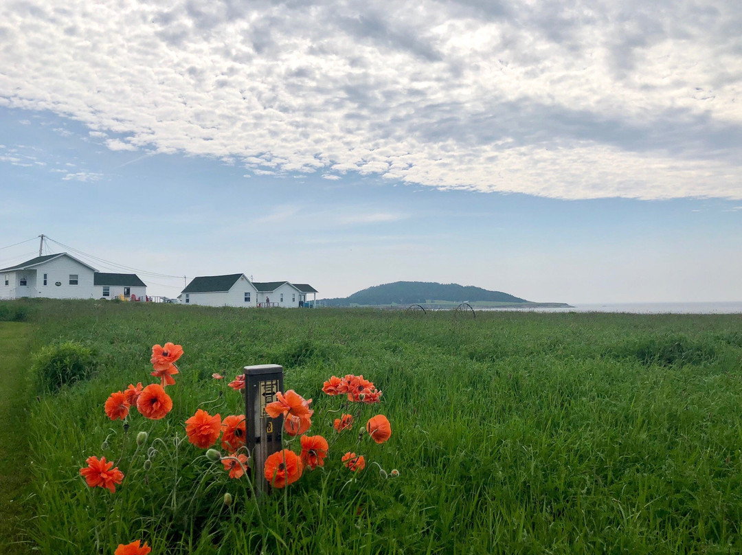 The Island Inn主图