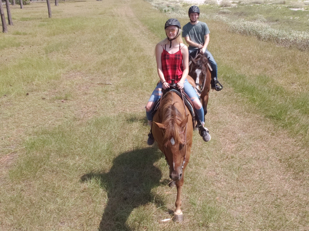 Daufuskie Trail Rides-Daufuskie Island必去景点