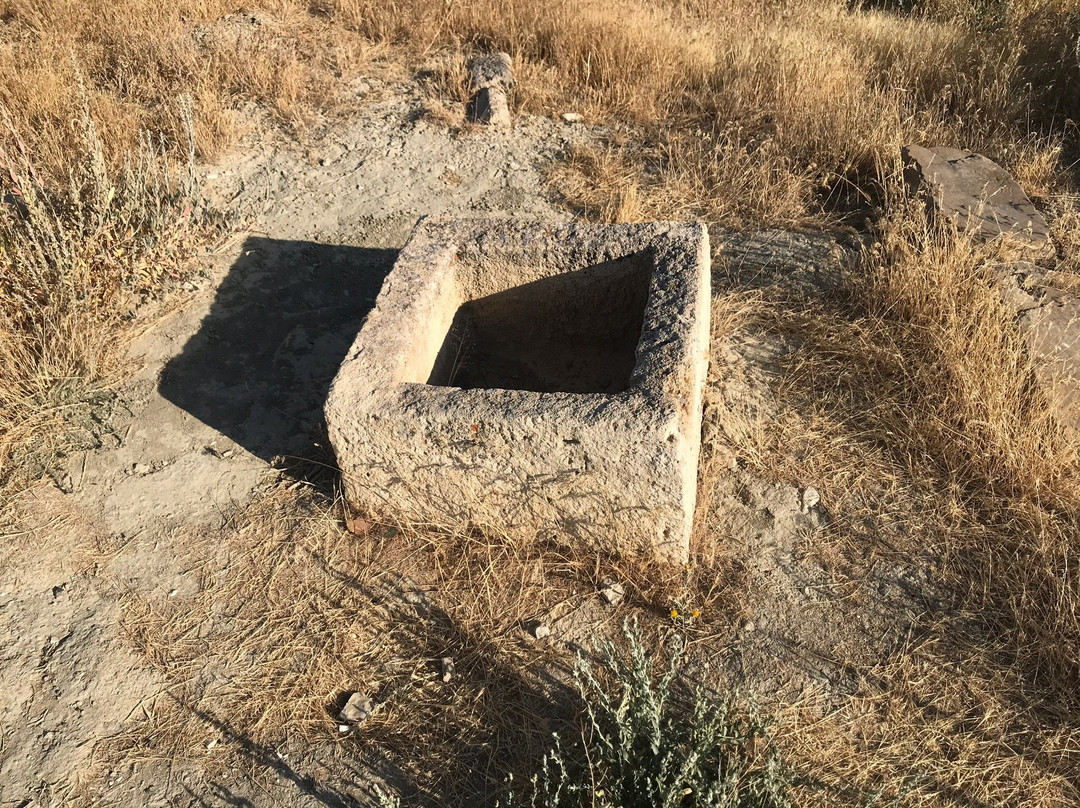 Ancient Urartian site of Cavustepe (Sardurihinilli)景点图片