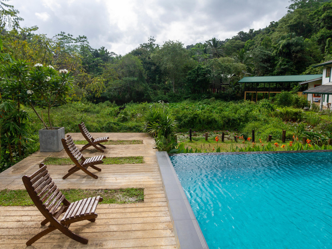 Explore Sinharaja Rain Forest Tour-Deniyaya必去景点