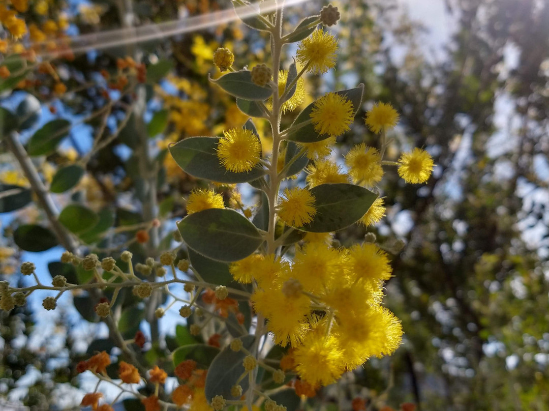 Pousada Colina das Andorinhas主图