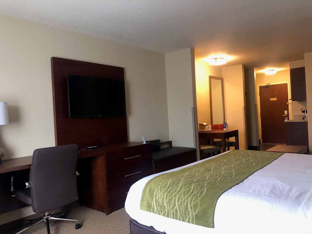 Comfort Inn & Suites主图