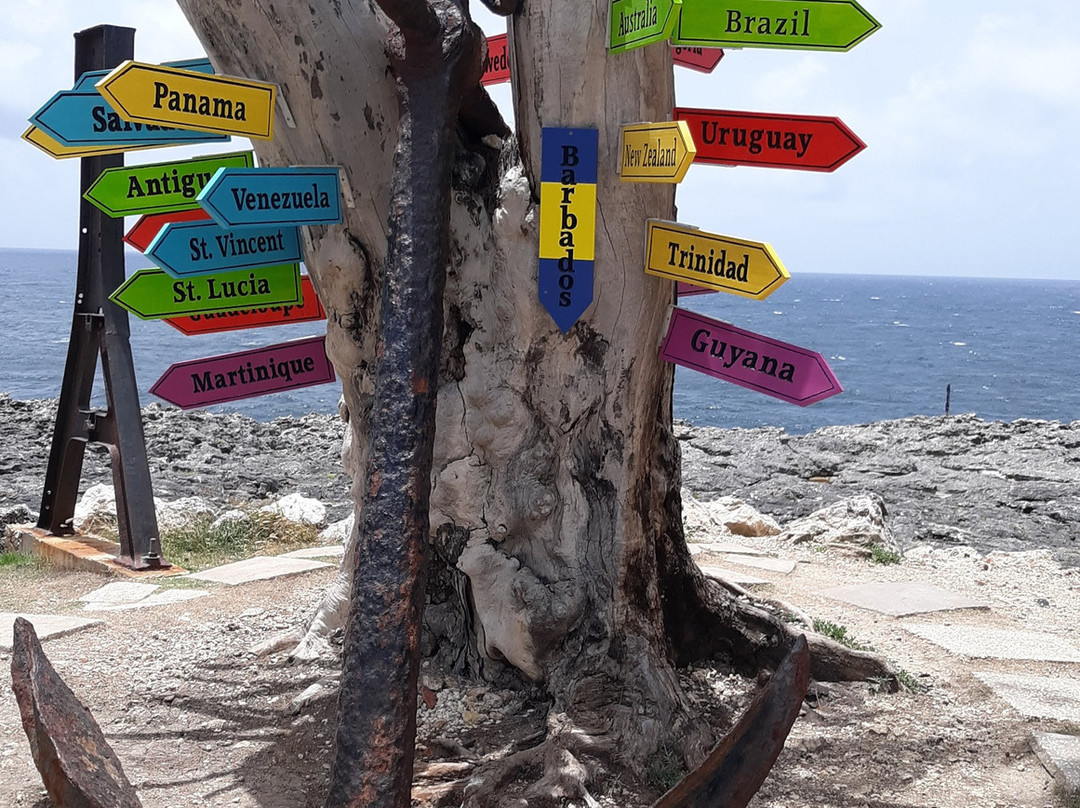 Carson's Taxi & Tour Service-基督城必去景点