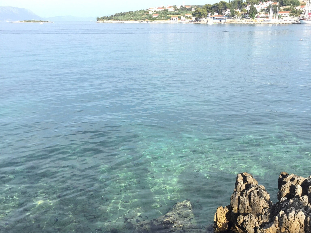 Guest House Bebic主图