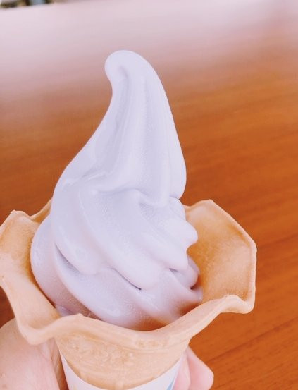 Ranzanmachi Sennen no Sono Lavender Field-岚山町必去景点