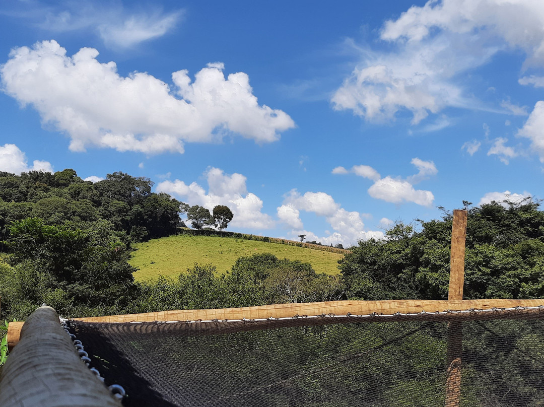 Essência Jardim Agroflorestal