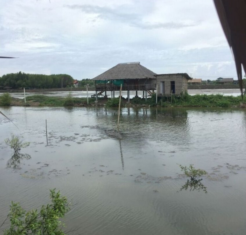 Wat Khun Samut Chin-帕沙姆佛塔必去景点