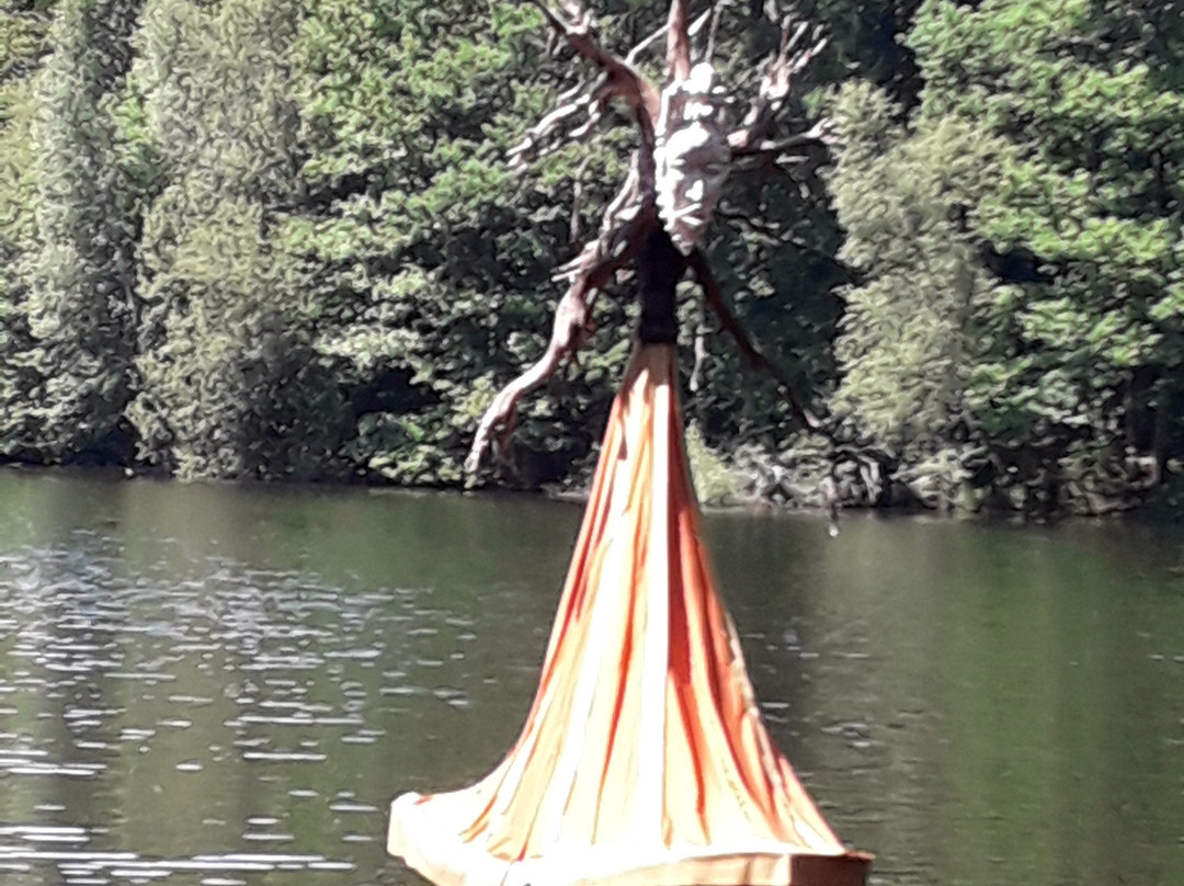 Lac de Seychemailles景点图片