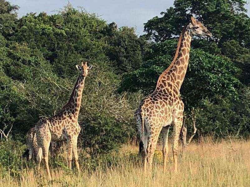 Mussiro Trips-马布多必去景点