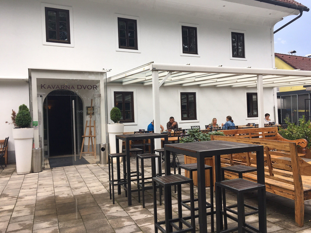 Mansion Dvor Tacen主图