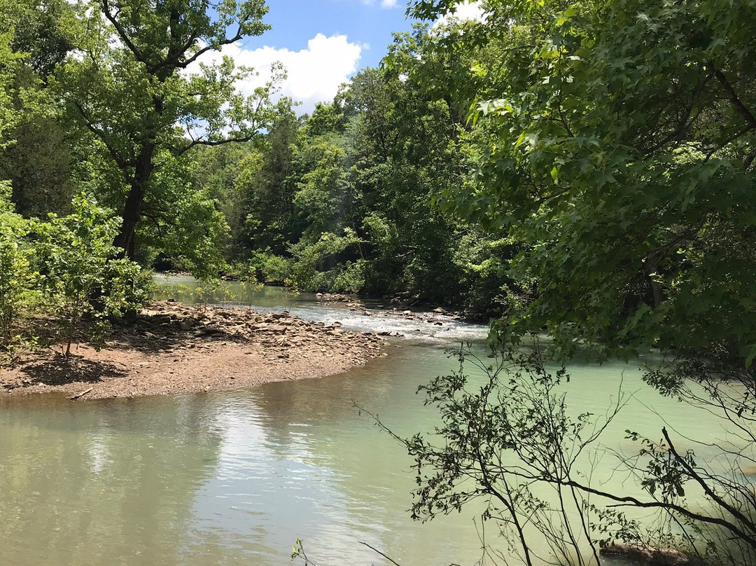 Richland Creek Wilderness景点图片