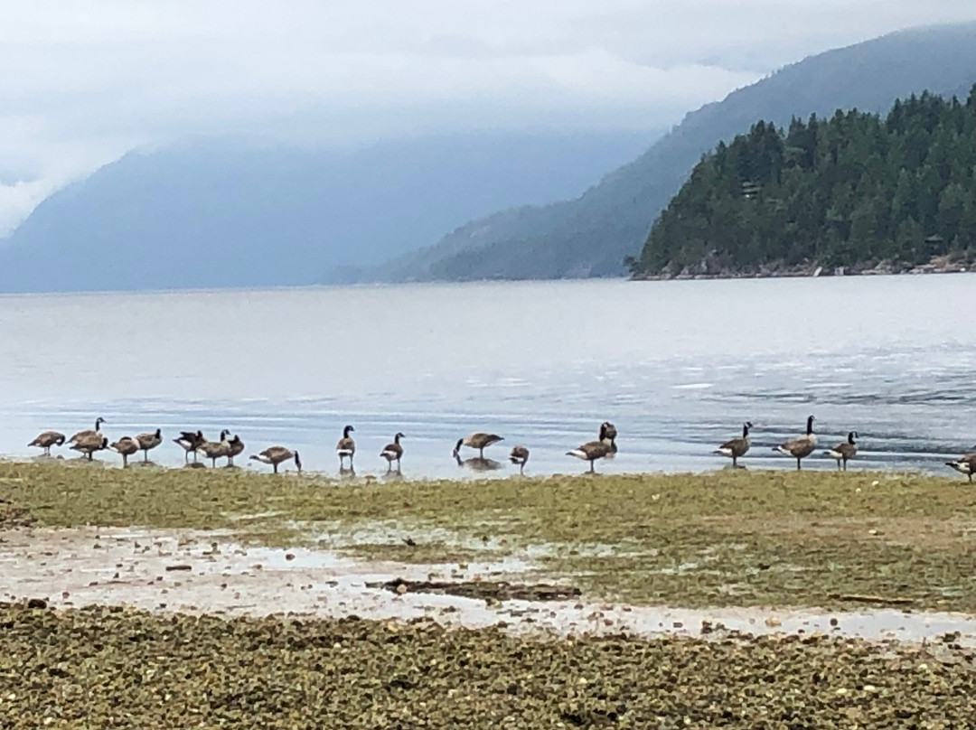 At The Shore B&B主图