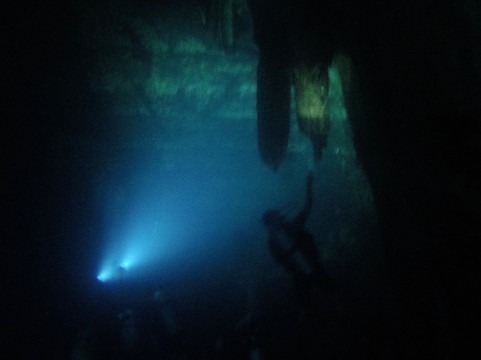 Yucatan Dive Center-梅里达必去景点