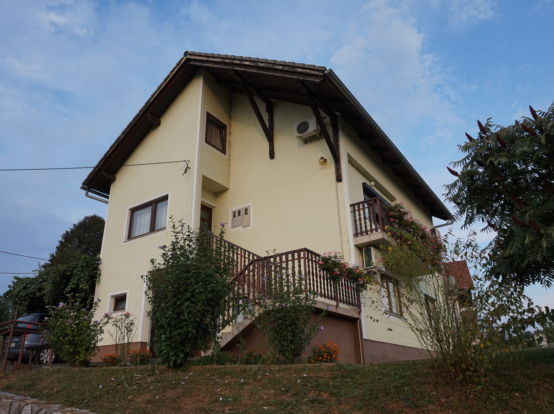 Apartments Lucija主图