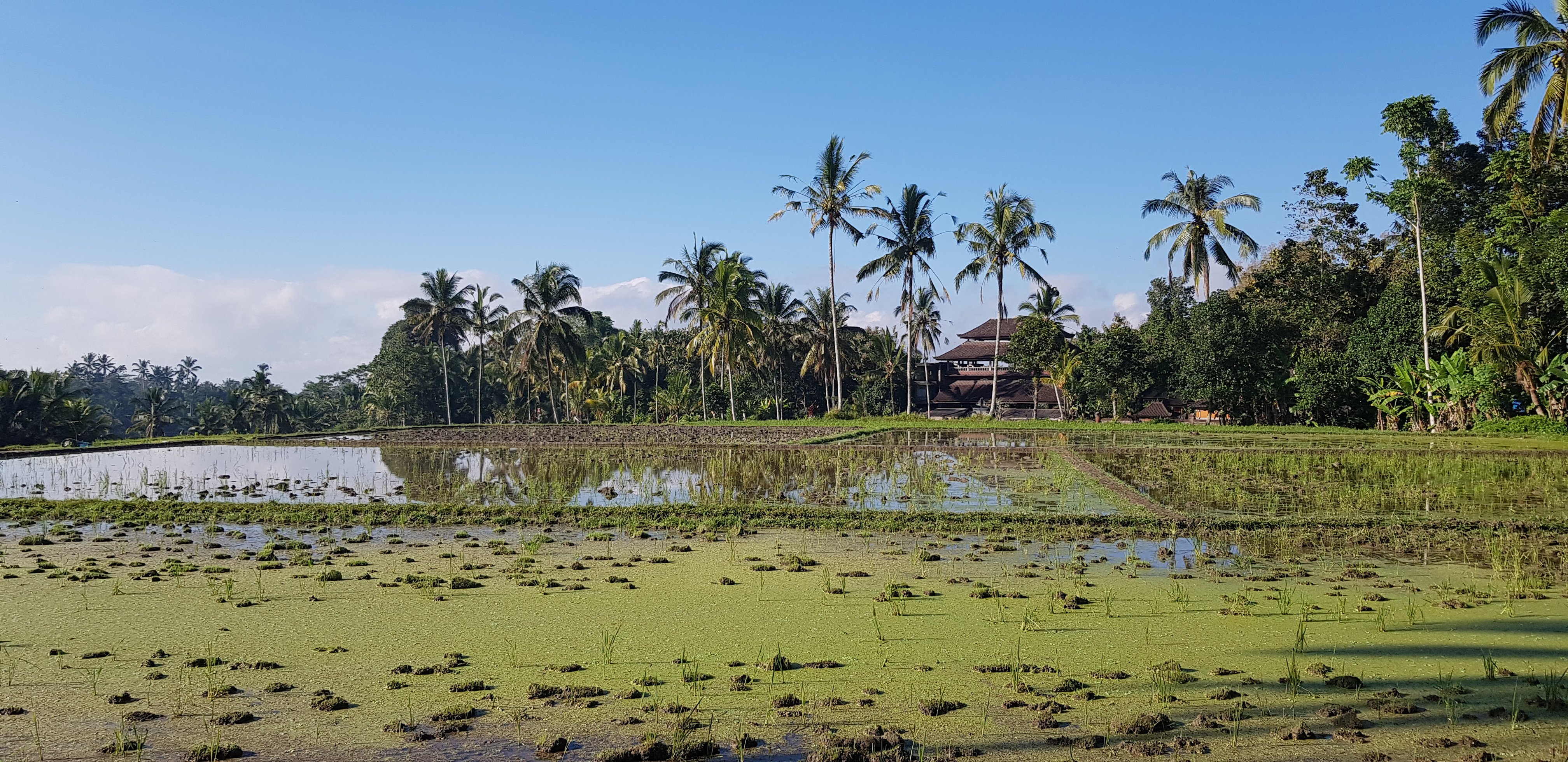 兄弟之家酒店 -酒店景观