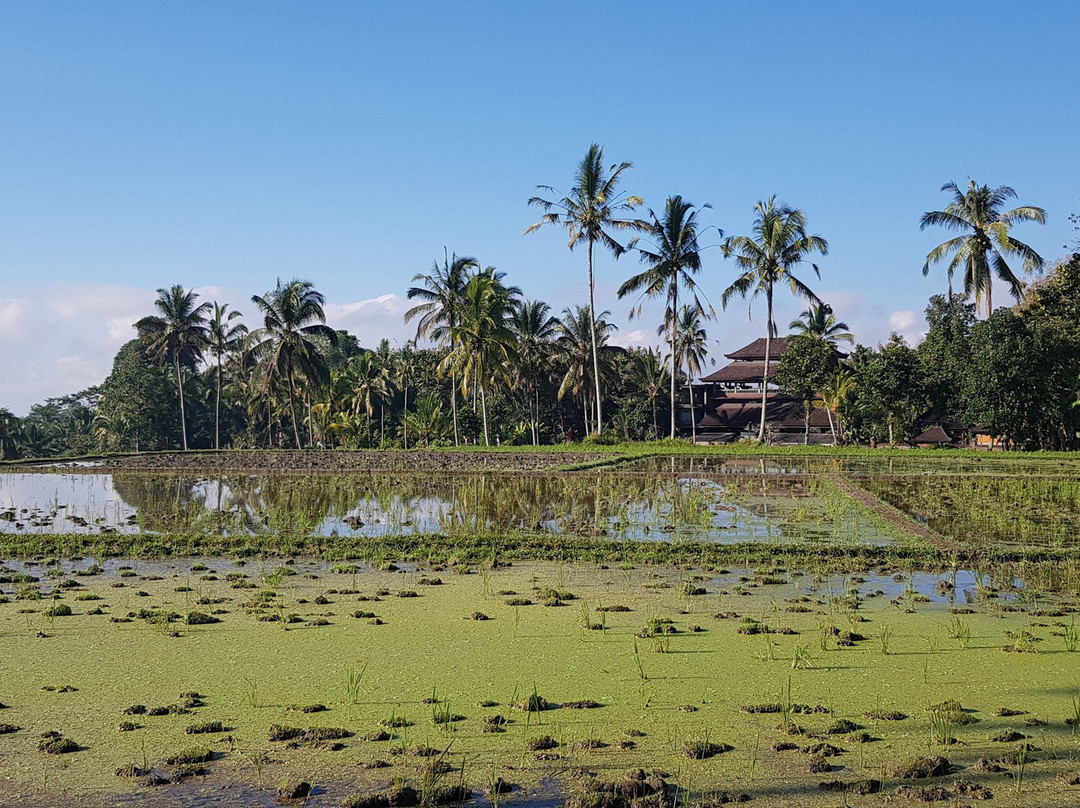 兄弟之家酒店 主图