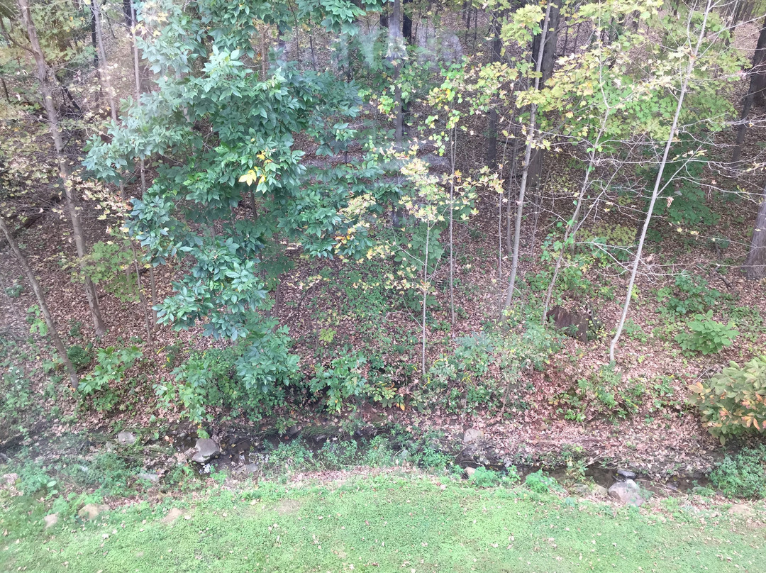 Comfort Inn & Suites LaVale - Cumberland主图