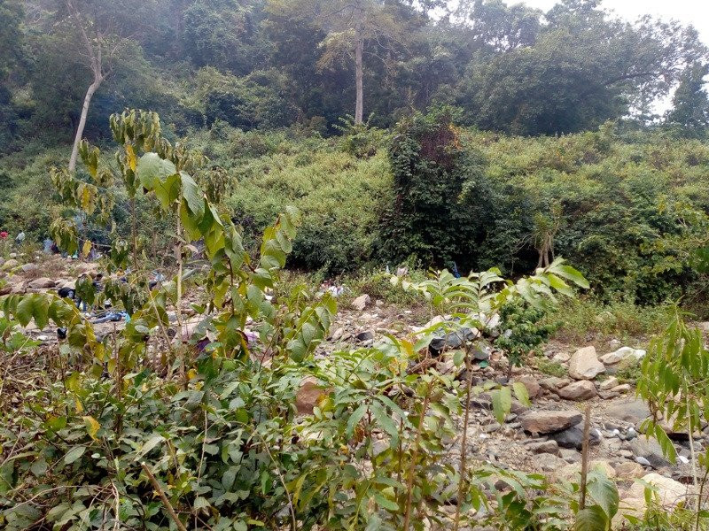 Simlipal Tiger Reserve景点图片