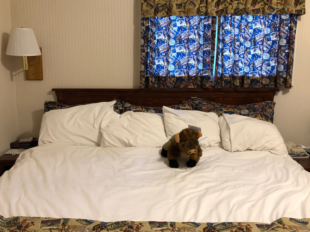 Buffalo Bill Village Cabins主图