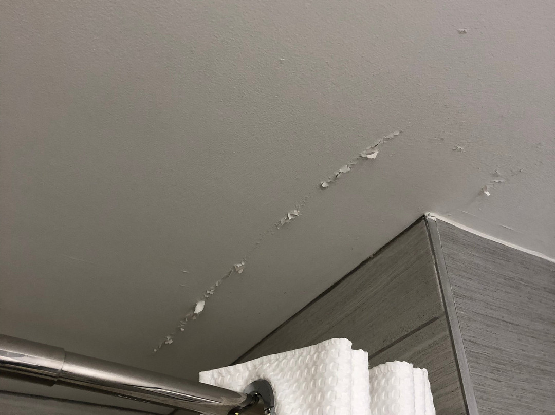 波士顿布鲁克莱恩万豪万怡酒店主图