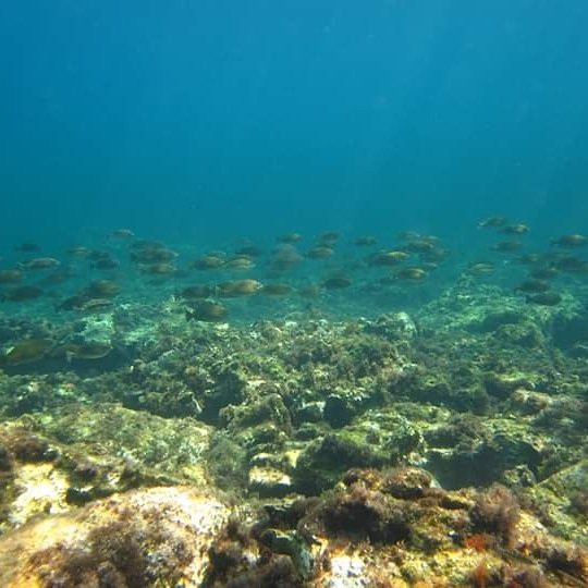 Hercules Marine Activities-Perivoli必去景点