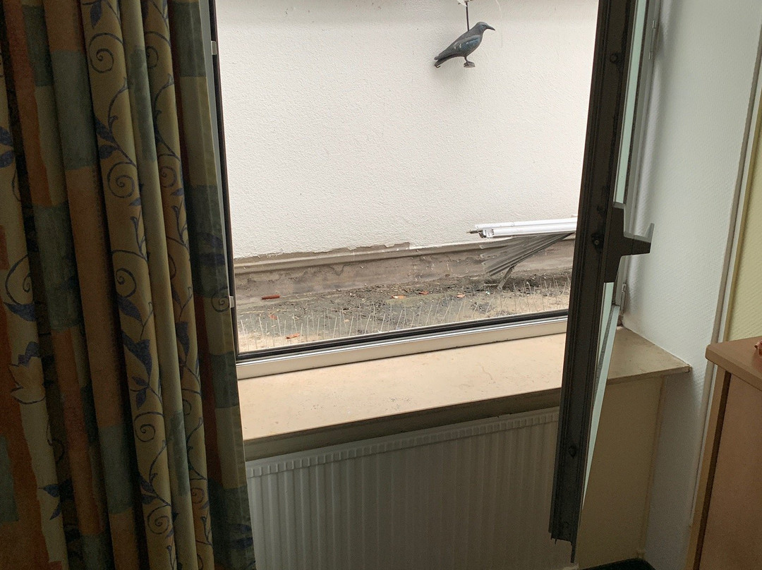 Hotel Central主图