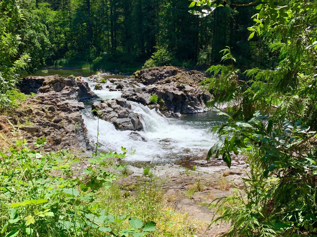 Lucia Falls Regional Park景点图片