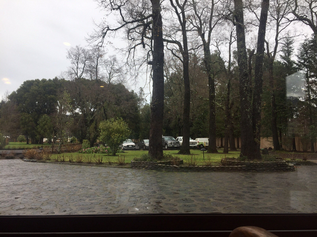 Hotel Pucon Green Park主图