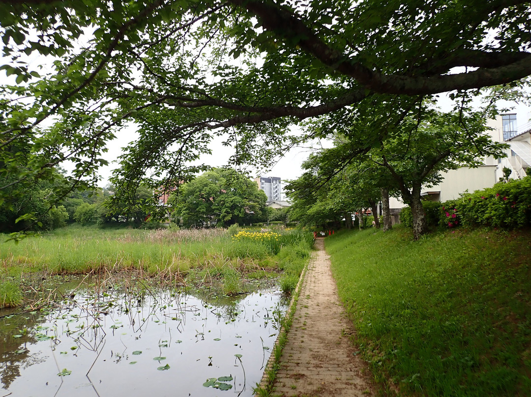 Nango Park-龟冈市必去景点