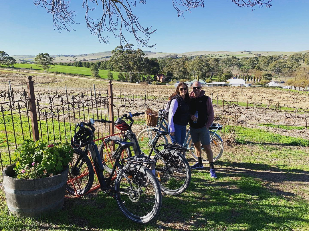 Riesling Trail Bike Hire-克莱尔必去景点