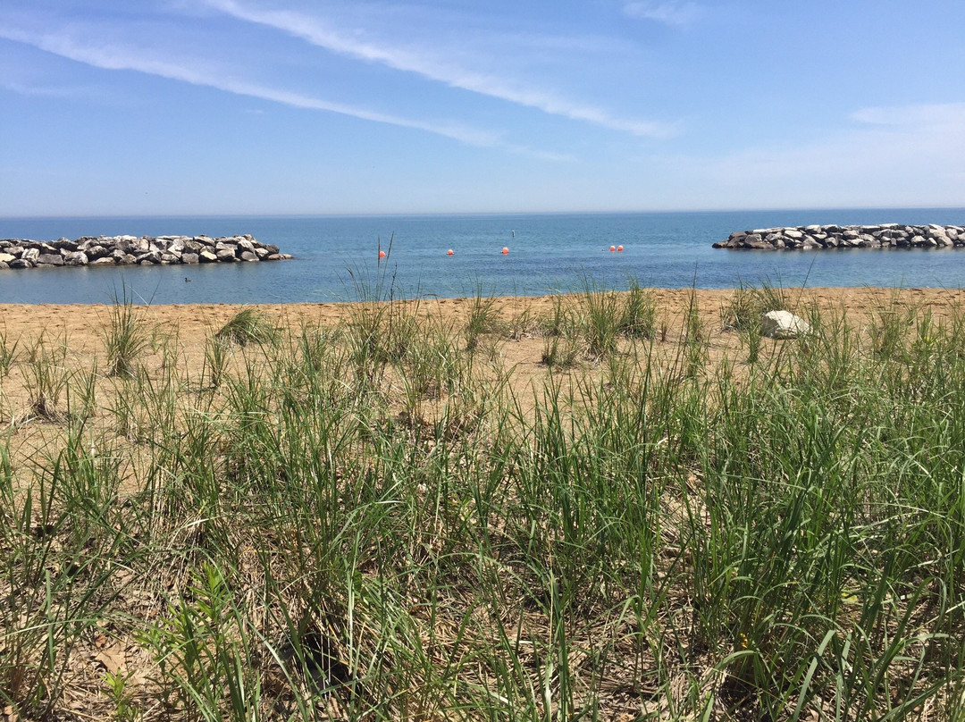 Rosewood Beach-Highland Park必去景点