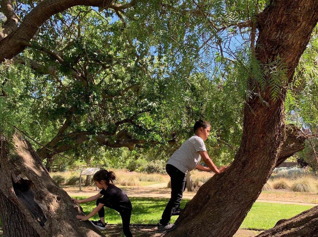 Markham Nature Park and Arboretum-康科德必去景点